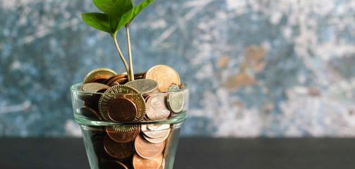 Підсумки реалізації грантових програм для садівничо-ягідного сектору - 2025