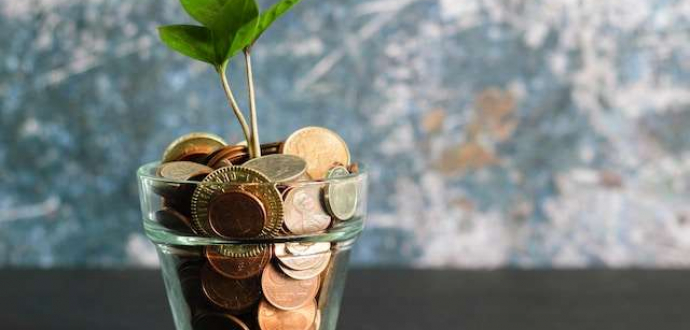 Підсумки реалізації грантових програм для садівничо-ягідного сектору - 2025