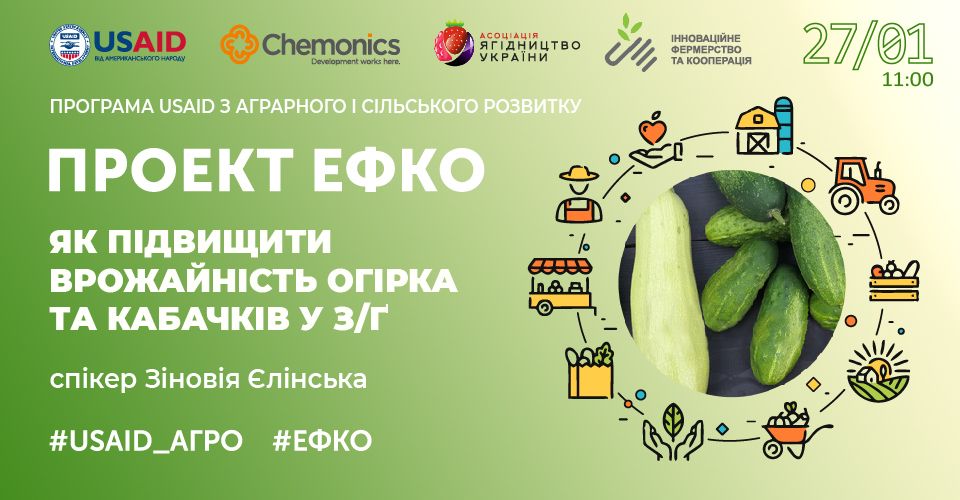 Як підвищити врожайність огірка та кабачків у закритому ґрунті? 