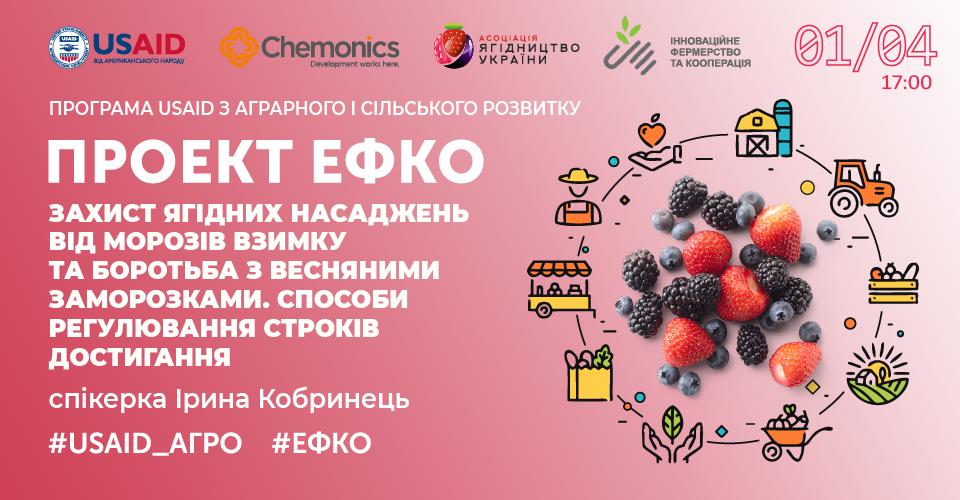 Захист ягідних насаджень від морозів взимку та боротьба з весняними заморозками. Способи регулювання
