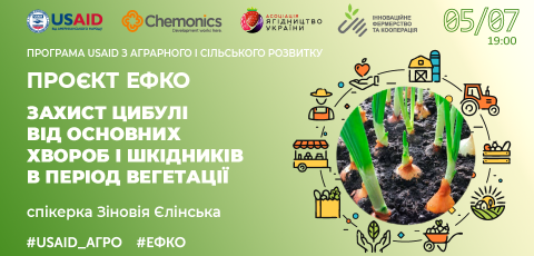 Захист цибулі від основних хвороб і шкідників в період вегитації