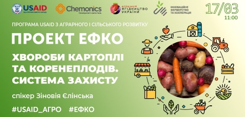  Хвороби картоплі та коренеплодів. Система захисту