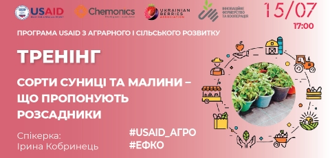 Сорти суниці та малини - що пропонують розсадники 