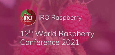 Ukrainian Berries Association take part in the 12th World Raspberry Conference IRO