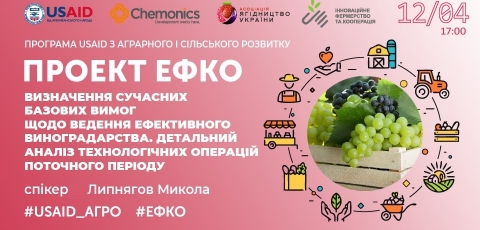 Визначення сучасних базових вимог щодо ведення ефективного виноградарства. 