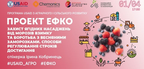 Захист ягідних насаджень від морозів взимку та боротьба з весняними заморозками. Способи регулювання